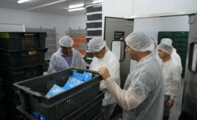 В Кыргызстане работает 425 перерабатывающих предприятия