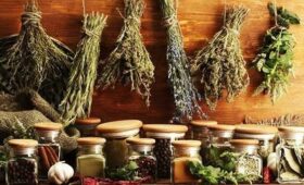 Кабмин утвердил порядок подготовки специалистов в области народной медицины