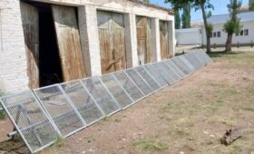 «Кумтор» профинансировал строительство оборудования для разведения форели