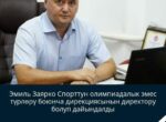Эмиль Заярко возглавил дирекцию по неолимпийским видам спорта