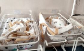 Тройня, родившаяся в Бишкеке, чувствует себя хорошо