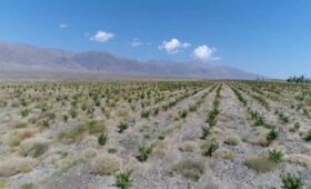 Минсельхоз КР призывает мигрантов осваивать малопродуктивные земли в стране