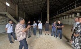 Фермеры обсудили вопрос взаимосвязи с мукомольными предприятиями