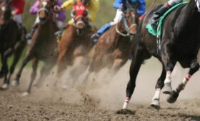 На Иссык-Куле пройдут турнир по скачкам и сельскохозяйственная ярмарка