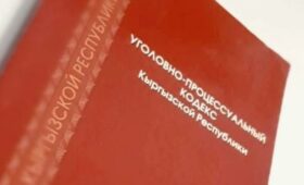 Жогорку Кенеш разрешил специальные следственные действия для поиска разыскиваемых