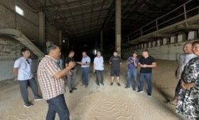 Фермеры обсудили вопрос взаимосвязи с мукомольными предприятиями