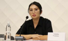 Гражданка обвинила экс-губернатора Чуйской области в избиении и препятствовании выезда их ребёнка на лечение