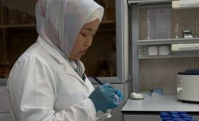 В КР усиливается контроль за качеством продуктов животного происхождения