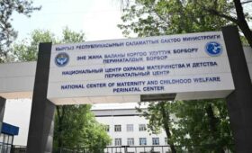 Председатель Кабмина ознакомился с деятельностью Перинатального центра