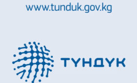 Справку об инвалидности и программу реабилитации теперь можно получить через Tunduk