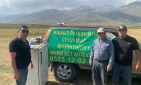 На пастбищах Кыргызстана организуются мобильные ветеринарные аптеки