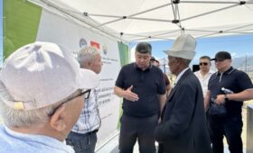 Создана Чуйская агропромышленная зона