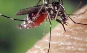 Граждан КР просят соблюдать меры профилактики в жарких странах