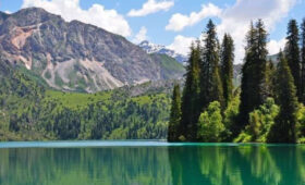 Служебный дом пансионата «Арстанбап» вместе с землей незаконно приватизировал директор пансионата, — Генпрокуратура