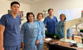 ЛОР-врачи Джальской детской больницы прошли обучение в Москве