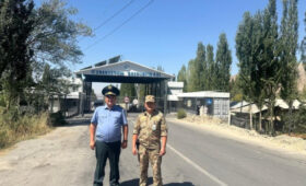 В Баткенской области усилен контроль за ввозом фитосанитарной продукции