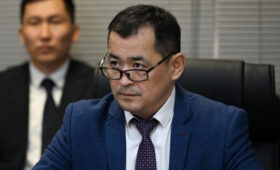 Глава Минздрава Эркин Чечейбаев поддержал идею чаевых для медиков