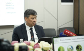 Торобаев распорядился снизить цены на мясо и усилить контроль на рынке