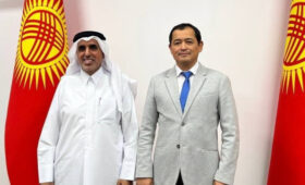 Кыргызстан и Катар обсудили расширение сотрудничества в области здравоохранения