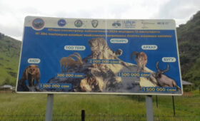 Природные парки Кыргызстана усиливают работу по борьбе с пластиком