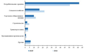 В Кыргызстане за полгода выдано микрокредитов на сумму более 40 млрд сомов