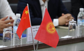 В Кыргызстане планируют создать центр традиционной медицины с участием Китая