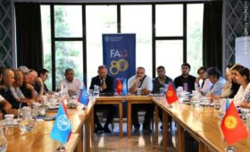 В Кыргызстане ветеринары прошли обучение по диагностике болезней рыб