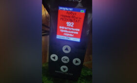 Кыргызстан направил ноты Китаю и Нидерландам из-за фитосанитарных нарушений