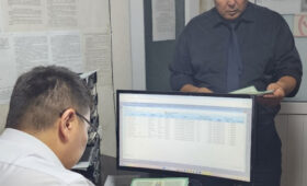 КР вернул 445 тонн грузов, не соответствующих фитосанитарным нормам