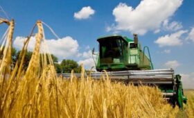 В Кыргызстане завершена половина уборки зерновых культур