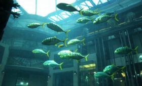 В КР будет автоматизированный Реестр рыбохозяйственных водоемов, рек, озер