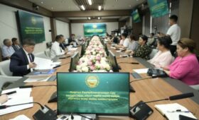 Впервые из Кыргызстана экспортировано 1,6 семян тыквы в Японию