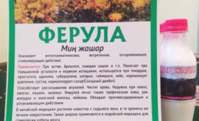 Фермерам Кыргызстана рассказали как правильно выращивать ферулу