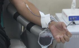 С начала года донорами крови стали 28 тыс. человек, а сумму компенсации увеличили