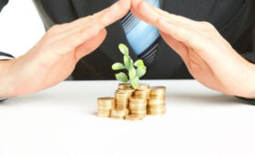 Средний бизнес обязан ежемесячно подавать отчет по единому налогу