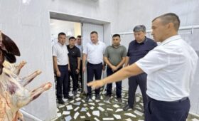 Новая современная бойня в Раззакове гарантирует безопасность продукции