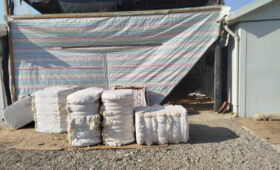 В Кок-Таше открылось предприятие по переработке тонкой шерсти