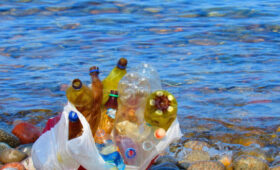 Мусор на берегу Иссык-Куля может привести к онкологическим заболеваниям, — эколог о вреде отходов