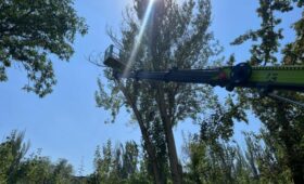 В Бишкеке раздают дрова нуждающимся (график по районам)