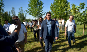 Экскурсия по питомнику «Бишкекзеленстроя» показала, что делают для города