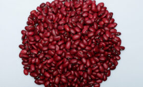 В Тонском районе планируют получить большой урожай кормовых культур