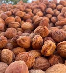 Научный подход помог увеличить урожай урюка в кооперативе «Достук-Кадырбек»