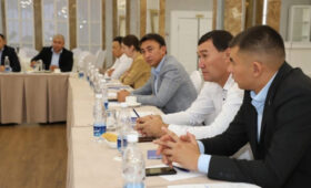 В Бишкеке обсудили действия по надзору за болезнями водных животных