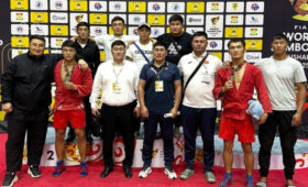 Самбисты из Кыргызстана завоевали медали на Кубке мира в Душанбе