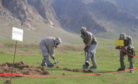 В Кыргызстане вспышка холеры? Пояснение Минздрава