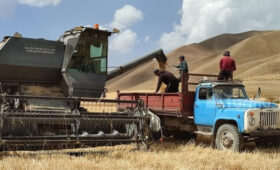 В КР создают спецмеханизированные бригады для быстрой уборки зерновых