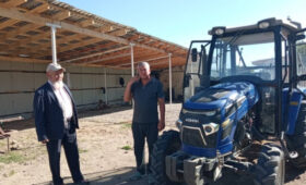 В кооперативе «Нур-Элине» собрали с гектара 1 тонну черной смородины