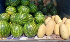 В сентябре не стоит есть арбузы и дыни из-за риска отравления, — инфекционист