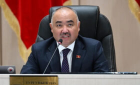 Спикер Жогорку Кенеша заявил о поддержке инициативы самороспуска парламента