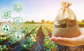 Минсельхоз КР рассказывает о льготных кредитах для фермеров